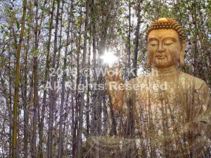 Buddha’s Blessing Digital Art by Wolf Kesh       