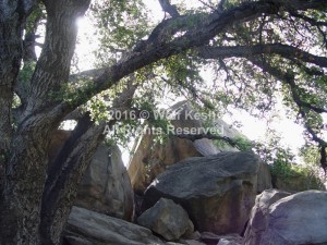 On The Rocks Nature Art Photo By Wolf Kesh     